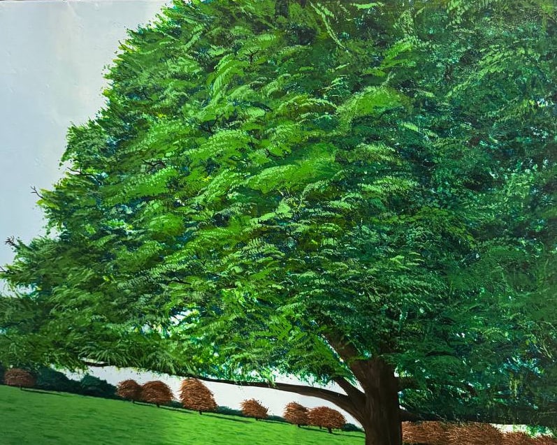 Trees by Divine Enogela